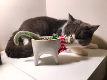 Load image into Gallery viewer, Newts the Cat Pot