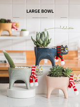 Load image into Gallery viewer, Newts the Cat Pot
